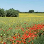 Whg Foellenbach شقة