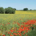 Whg Foellenbach * Barendorf (Mecklenburg-Vorpommern)