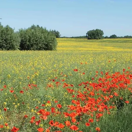 Whg Foellenbach דירה