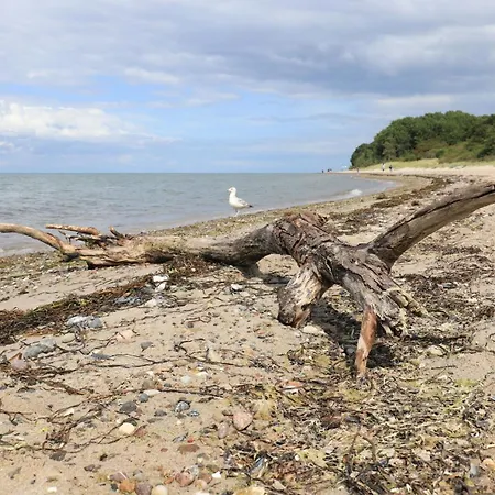 Whg Foellenbach Barendorf (Mecklenburg-Vorpommern)