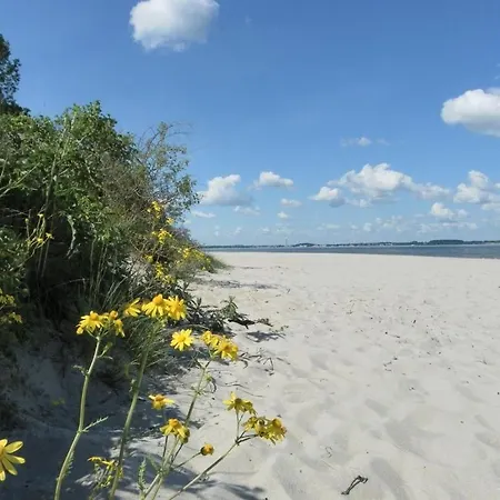 Whg Foellenbach Barendorf (Mecklenburg-Vorpommern)